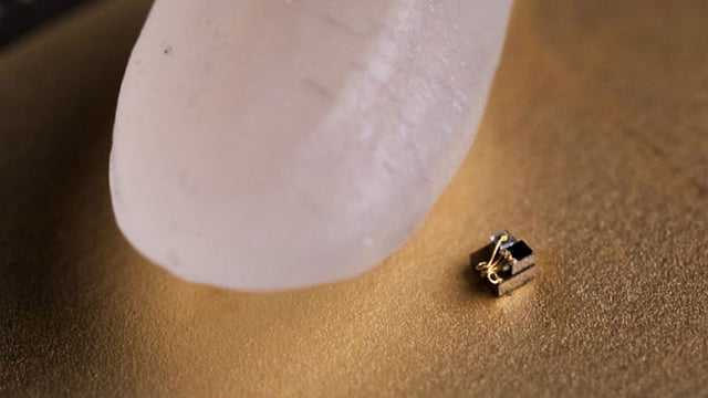 গবেষকেদের তৈরি ক্ষুদ্রতম কম্পিউটার। ছবি: ইউনিভার্সিটি অব মিশিগানের সৌজন্যে