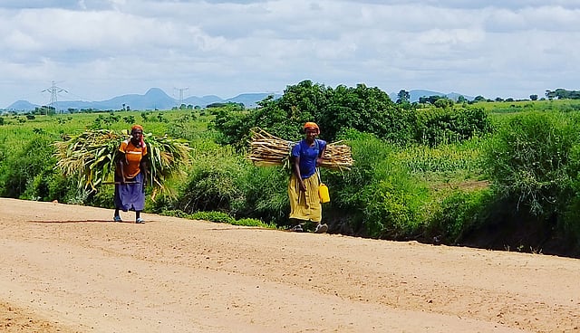 পাহাড় থেকে খড়ি নিয়ে ফিরছেন দুজন