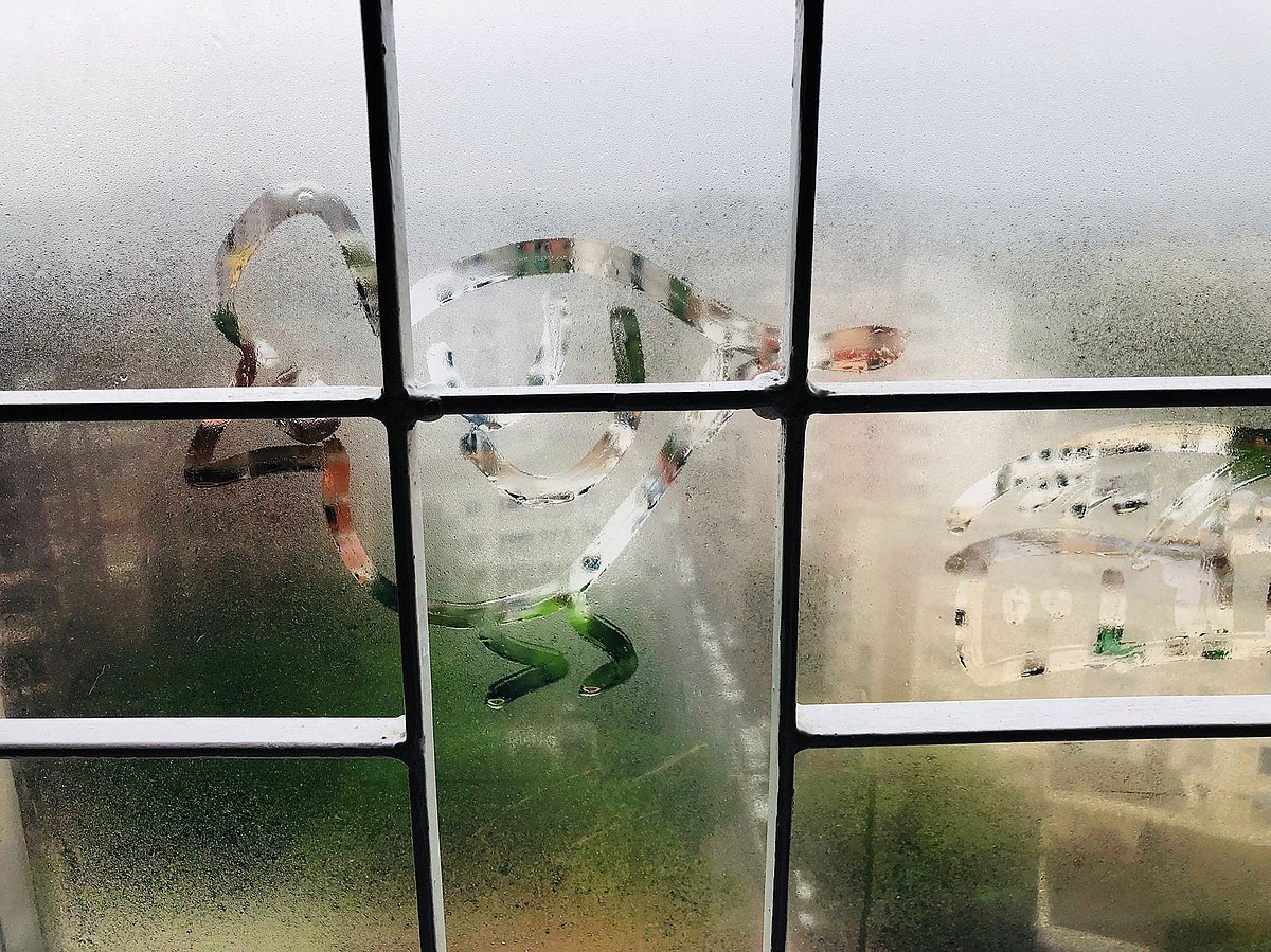 বৃষ্টিতে ঝাপসা হয়ে যায় সব