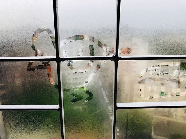 বৃষ্টিতে ঝাপসা হয়ে যায় সব