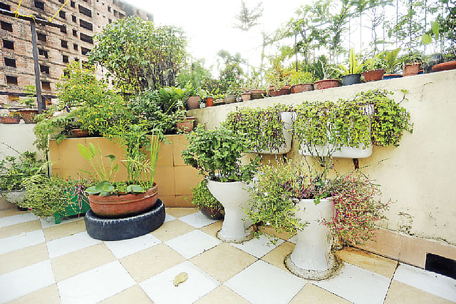 কৃতজ্ঞতা: বিনতীস ফেয়ারি গার্ডেন, ছবি: সুমন ইউসুফ