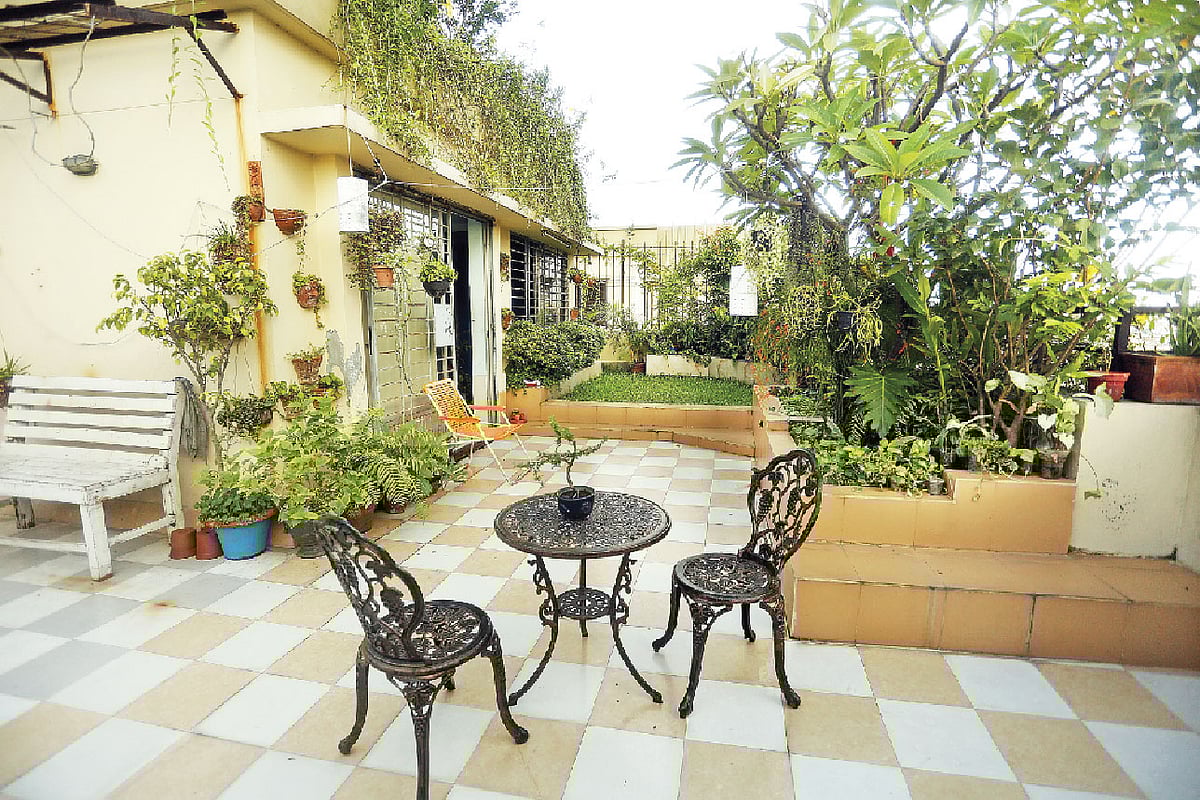 ছাদে অনেকেই গড়ে তুলছেন শখের বাগান। কৃতজ্ঞতা: বিনতীস ফেয়ারি গার্ডেন, ছবি: সুমন ইউসুফ