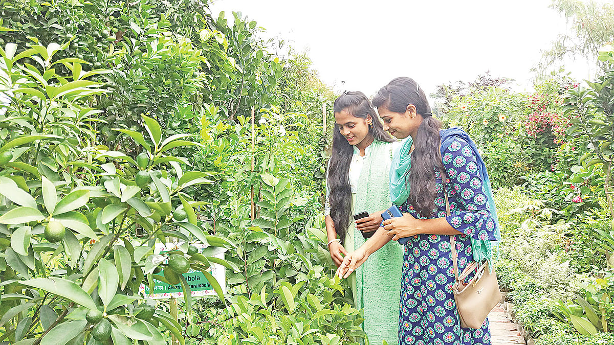 গাছের চারা বাছাই করছেন শেরেবাংলা কৃষি বিশ্ববিদ্যালয়ের দুই ছাত্রী। গতকাল রাজধানীর আগারগাঁওয়ের বাণিজ্য মেলা মাঠের জাতীয় বৃক্ষমেলায়। ছবি: প্রথম আলো