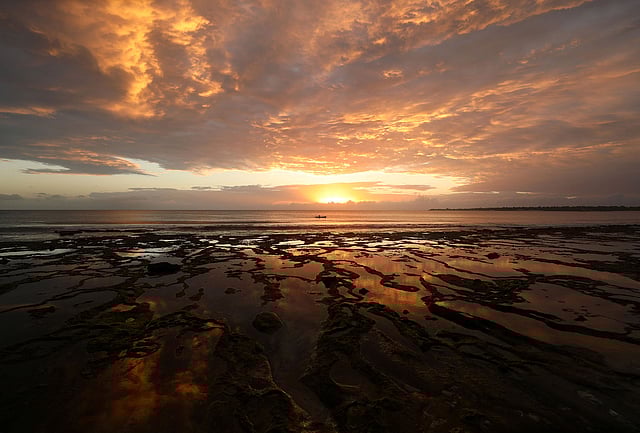 সূর্য উঠেছে। মৎস্যশিকারিরাও তাঁদের কাজ শুরু করেছেন। ১০ জুলাইয়ের এই ছবিটি ২৫ জুলাই প্রকাশ করেছে রয়টার্স। ছবি: পেম্বা, মোজাম্বিক, রয়টার্স।