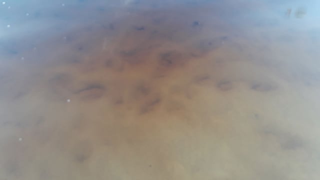 জর্জটাউন থেকে ৪০ কিলোমিটার দূরে লিনডেন সয়েসডাইক হাইওয়ের পাশের সেই জলাধার। যেটিকে ‘লাল পানি’র জলাধার বলা হচ্ছে। ছবি:প্রথম আলো