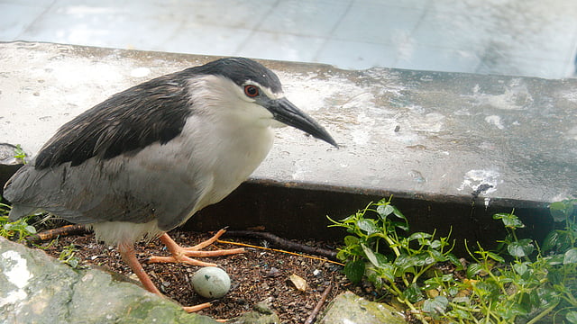 ছবি: মুবতাসিম ফুয়াদ