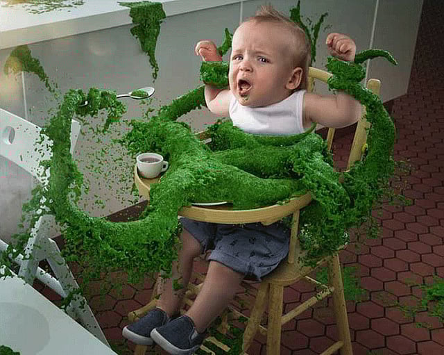 ছবি:   বিবিসির সৌজন্যে