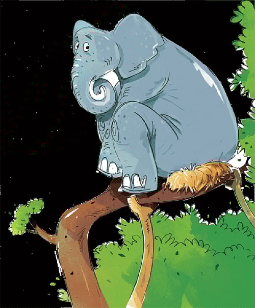 অলংকরণ: তুলি