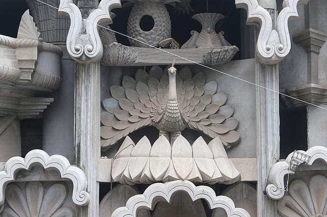 প্রকৃতি থেকে অনুপ্রাণিত নানা মোটিফ।