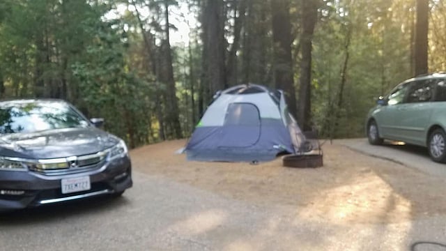 তাঁবুর ছাদটা ছিল মশারির নেটের মতো