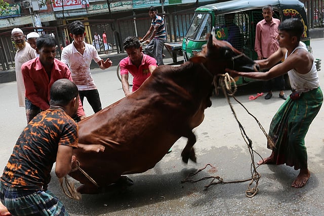 নগরের অনেকেই সিটি করপোরেশনের নির্ধারিত স্থানে না গিয়ে সড়কে বা অন্য কোনো স্থানে পশু কোরবানি দিয়েছেন। ছবি: হাসান রাজা