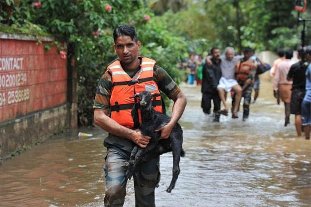 পোষা প্রাণী উদ্ধার করছেন স্বেচ্ছাসেবীরা। ছবি: সংগৃহীত