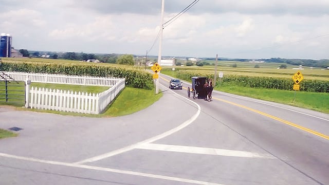 আমিশ পল্লির পথে চলছে ঘোড়ার গাড়ি। ছবি: আহমাদ মাযহার
