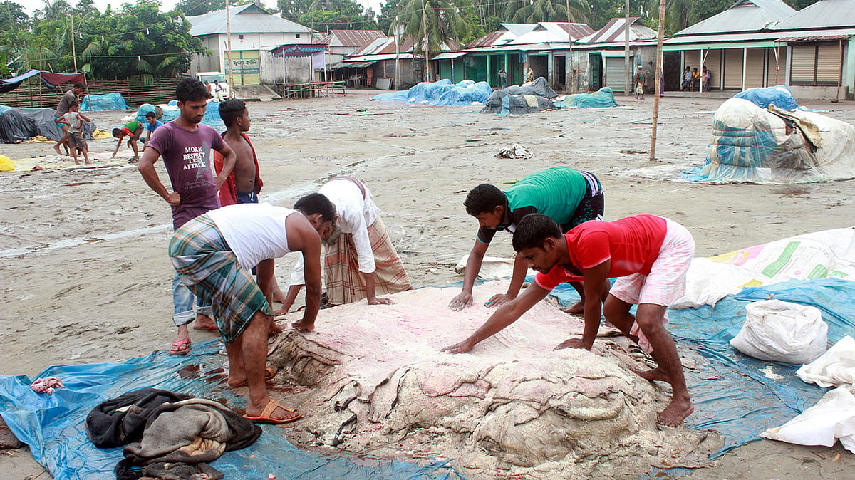 ছবি: আনোয়ার হোসেন