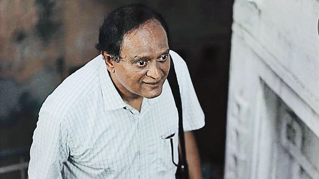 সোনালী ডানার চিল