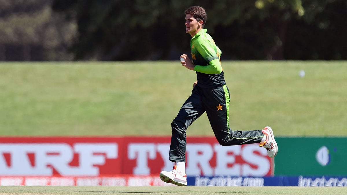 তরুণ পেসার শাহীন আফ্রিদিকে নিয়ে আশাবাদী পাকিস্তানের কোচ মিকি আর্থার। ছবি: টুইটার