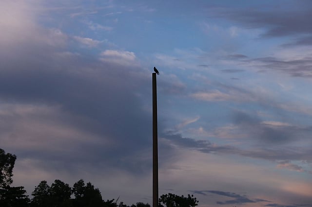 শরতের নীল আকাশে কালো মেঘের আনাগোনা। আকাশের নিচে বৈদ্যুতিক খুঁটিতে বসে আছে কাক। লাক্কাতুরা, সিলেট, ৫ সেপ্টেম্বর। ছবি: আনিস মাহমুদ