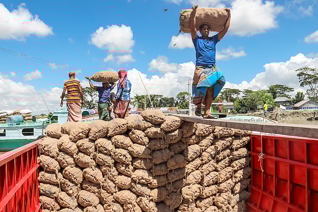 ঢাকার মুন্সিগঞ্জ থেকে ট্রলারে বস্তাবন্দী আলু খালাসে ব্যস্ত শ্রমিকেরা। প্রতি কেজি ১৭ টাকায় কেনা আলু খুচরা বাজারে বিক্রি করবেন ব্যবসায়ীরা। পোর্ট রোড, বরিশাল, ৬ সেপ্টেম্বর। ছবি: সাইয়ান