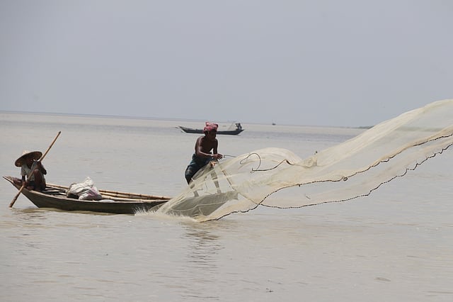 পানি বাড়ছে পদ্মায়। মাছ শিকারে জাল ফেলছেন জেলেরা। পঞ্চবটি এলাকা, পদ্মাপাড়, রাজশাহী, ৯ সেপ্টেম্বর। ছবি: শহীদুল ইসলাম