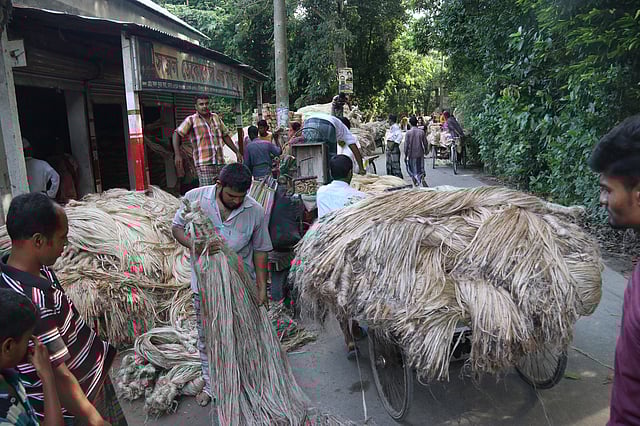 বাজারে পাটের ভালো দাম পেয়ে কৃষক খুশি। বাজারে এখন প্রতি মণ পাট ১ হাজার ৮০০ থেকে ২ হাজার ৫০০ টাকা দরে বিক্রি হচ্ছে। কৃষ্ণপুর হাট, সদরপুর উপজেলা, ফরিদপুর, ৯ সেপ্টেম্বর। ছবি: আলীমুজ্জামান