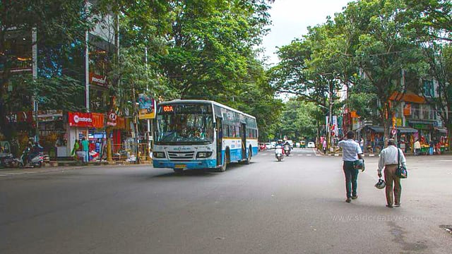 যাদবপুরে রাস্তায় বাস কম চলছে। ছবি: ভাস্কর মুখার্জি