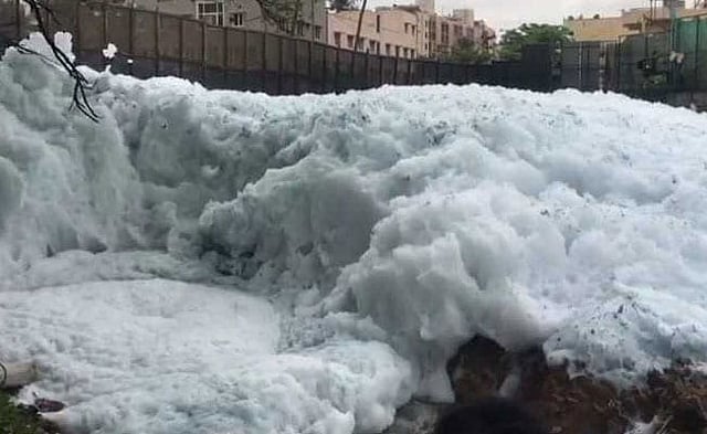 রাতভর বৃষ্টির পরই বেঙ্গালুরু শহরে এমন দৃশ্য দেখা যায়। ছবি: সংগৃহীত