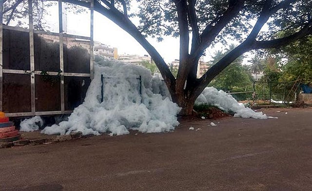 দেখে মনে হতে পারে বরফ বা তুলার স্তূপ। কিন্তু না এগুলো দূষিত ফেনা। ছবি: সংগৃহীত