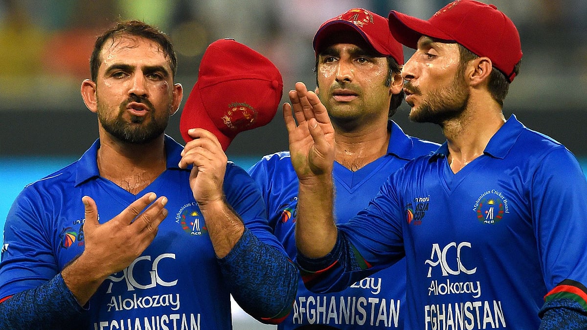এশিয়া কাপে নিজেদের সামর্থের প্রমাণ রেখেছে আফগানিস্তান। ছবি: এএফপি