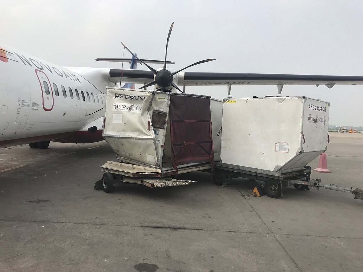 বিমানের কার্গো ভ্যানের আঘাতে নভোএয়ারের উড়োজাহাজ ক্ষতিগ্রস্ত। ছবি: সংগৃহীত