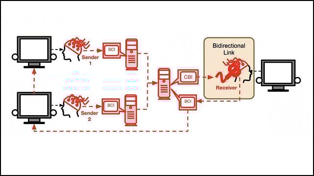 ব্রেইন নেট পদ্ধতি উদ্ভাবন করেছেন গবেষকেরা। ছবি: সংগৃহীত।
