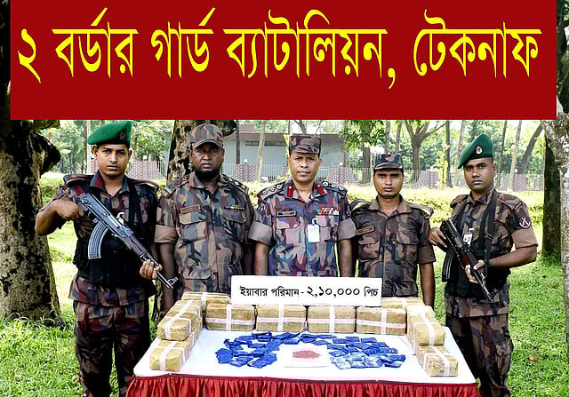 বিজিবির অভিযানে উদ্ধার হওয়া ইয়াবা বড়ি। ছবি: সংগৃহীত