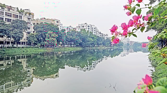 লেকের যে অংশে সংস্কারকাজ শুরু হয়েছে, সেখানকার পানি এখন স্বচ্ছ–টলমলে। গত শনিবার দুপুরে বনানী ১৮ নম্বর সড়কের পাশে।  ছবি: তানভীর আহাম্মেদ