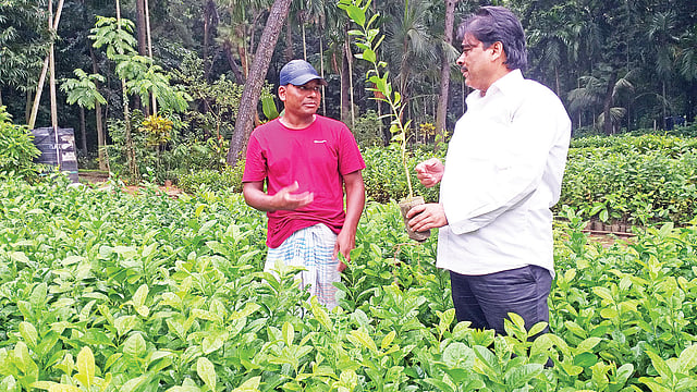 ক্রেতাকে গাছের চারা দেখাচ্ছেন নার্সারির কর্মী। গত বুধবার মিরপুরের জাতীয় উদ্ভিদ উদ্যানে।  ছবি: প্রথম আলো