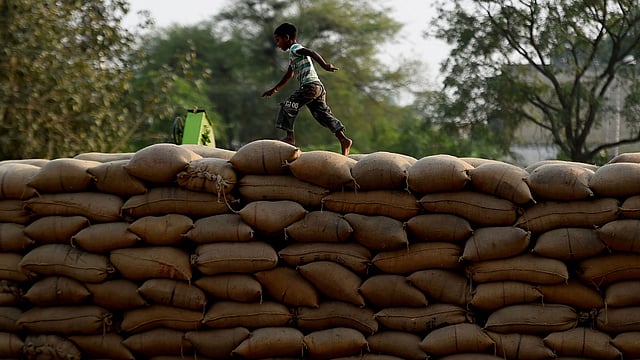 গ্রামে মাড়াইয়ের পরে ধানের বস্তা সারি সারি করে সাজিয়ে রাখা হয়েছে। বস্তার ওপরে খেলছে এই শিশু। তার সঙ্গে আছে আরও কয়েকজন। ল্যাং গ্রাম, পাতিয়ালা, পাঞ্জাব, ভারত, ১৫ অক্টোবর। ছবি: এএফপি
