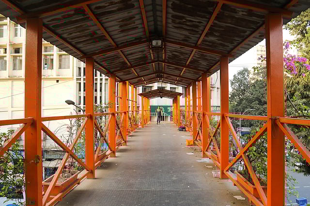 রাজধানীর অনেক পদচারী–সেতু বেশির ভাগ সময়ই এমন ফাঁকা পড়ে থাকে। এখনো অনেক পথচারী ঝুঁকি নিয়ে সড়ক পার হয়। শাহবাগ, ঢাকা, ২৩ অক্টোবর। ছবি: সাবরিনা ইয়াসমীন