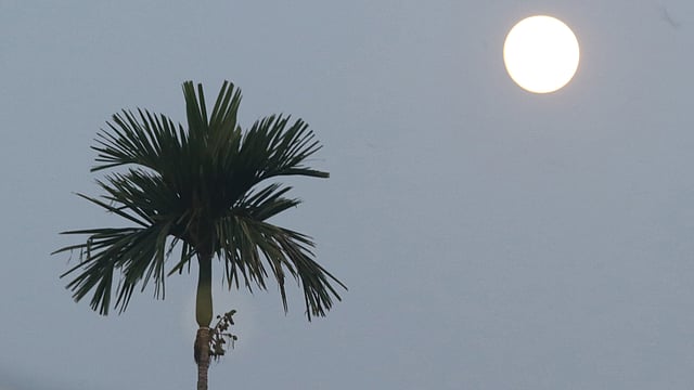 বৌদ্ধধর্মাবলম্বীদের অন্যতম ধর্মীয় উৎসব শুভ প্রবারণা পূর্ণিমা আজ বুধবার। প্রবারণা পূর্ণিমার আগের দিন প্রভা ছড়াচ্ছে চাঁদ। পানখাইয়াপাড়া, খাগড়াছড়ি শহর, ২৩ অক্টোবর। ছবি: নীরব চৌধুরী