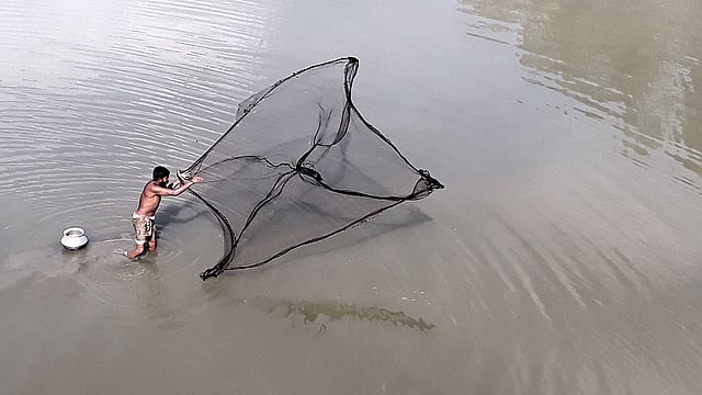 রাস্তার পাশের ডোবার পানি কমতে শুরু করেছে। সেখানে জাল ফেলে মাছ ধরছেন এক ব্যক্তি। বৈকুণ্ঠপুর এলাকা, রায়গঞ্জ, সিরাজগঞ্জ, ২৭ অক্টোবর। ছবি: সাজেদুল আলম