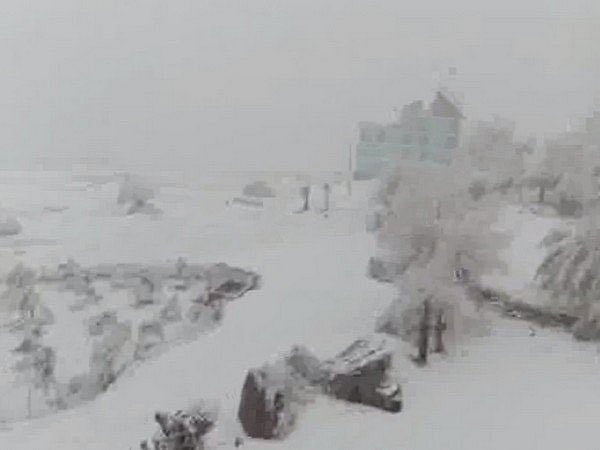 তুষারপাতের কারণে শ্রীনগরের অনেক ফ্লাইটও বাতিল করা হয়েছে। ছবি: টুইটার