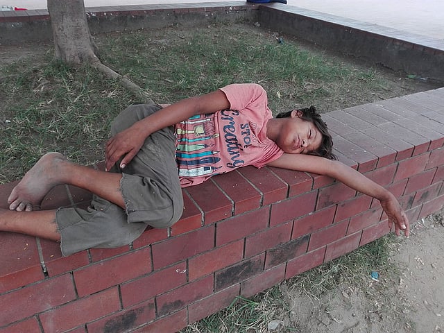 কৃষ্ণচূড়া গাছের ছায়ার ঘুমিয়ে আছে রাজু। ঢাকা, ২০ অক্টোবর। ছবি: প্রথম আলো