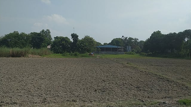 গ্রামের বাড়িতে সাহিদুলের খামার। ছবি: প্রথম আলো