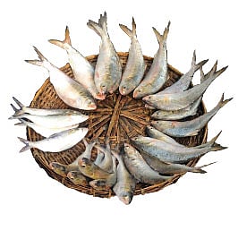 দক্ষিণ এশিয়ার  দেশগুলোতে প্রাকৃতিক উৎসের মাছের  মধ্যে সবচেয়ে মূল্যবান  হলো ইলিশ