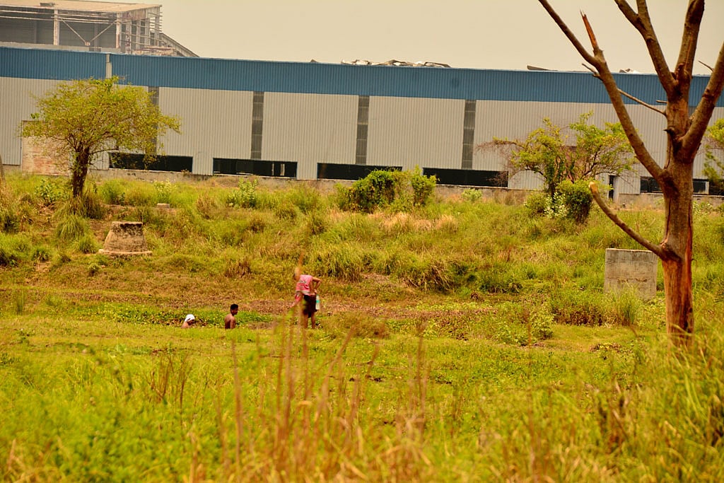 সিঙ্গুরে টাটার অধিকৃত জমি। ফাইল ছবি।