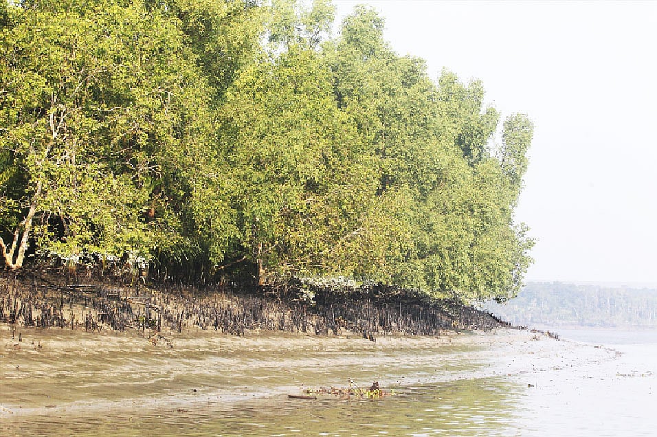 জনপ্রতিবাদ অগ্রাহ্য করে মুনাফার টানে আর রাজনৈতিক স্বেচ্ছাচারিতার বলে সর্বনাশা সুন্দরবন বিনাশী প্রকল্প নিয়ে অগ্রসর হচ্ছে সরকার