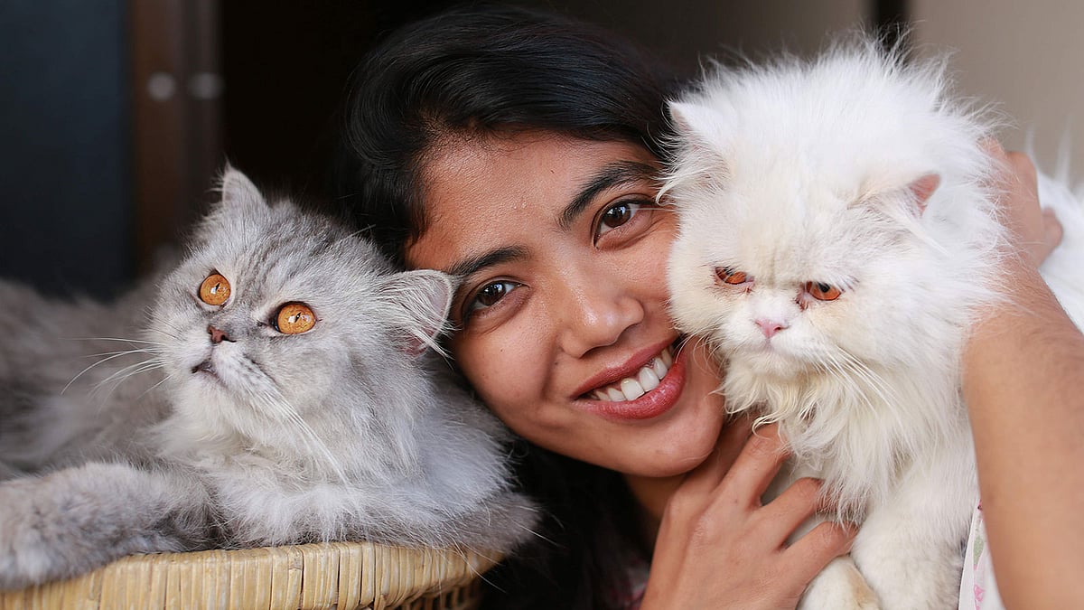 ছবি: প্রথম আলো