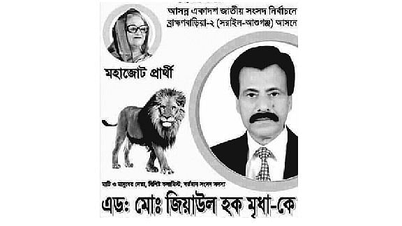 সাংসদ জিয়াউল হকের পোস্টার।