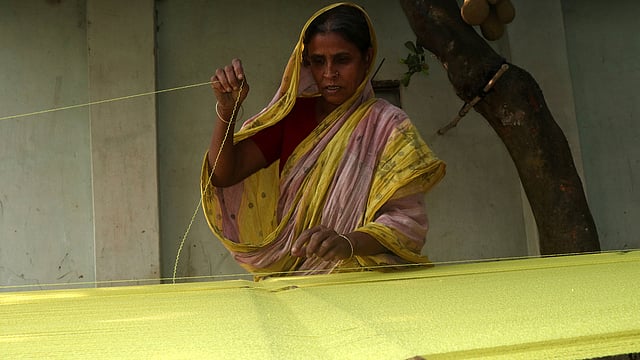 তানা কাড়ানোর সময় সুতা ছিঁড়ে গেছে। সেগুলো জোড়া লাগাচ্ছেন জবে বেগম। ছবি: সোয়েল রানা