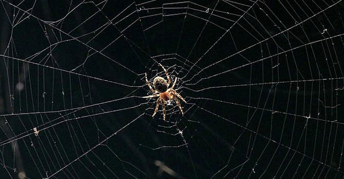 প্রতীকী ছবি: রয়টার্স