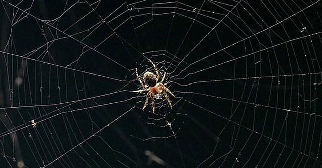 প্রতীকী ছবি: রয়টার্স