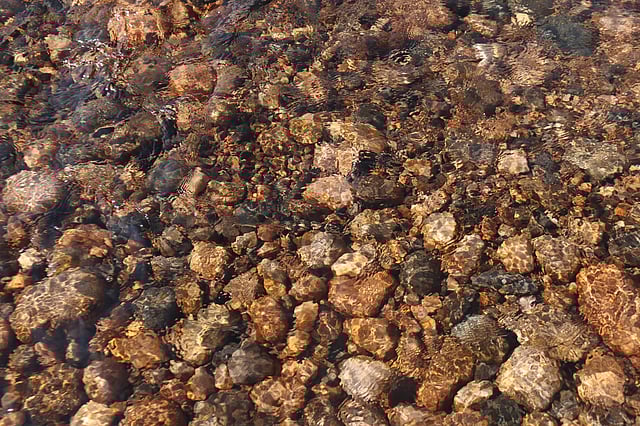 স্বচ্ছ জল ভেদ করে দেখা যায় পাথর: ছবি: আনিস মাহমুদ