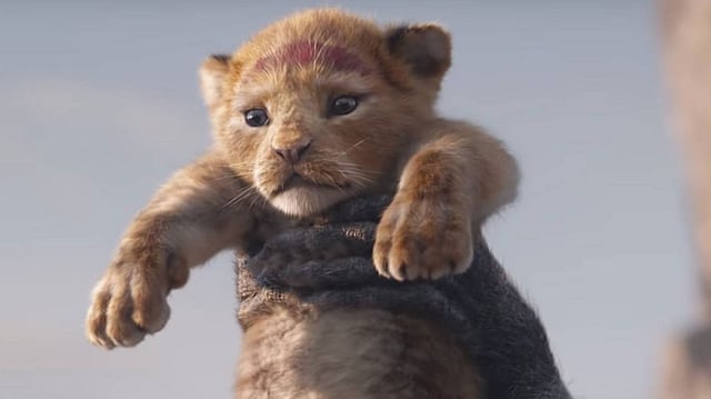 জুলাইয়ের ১৯ তারিখ ডিজনির ‘লায়ন কিং’ মুক্তি পাওয়ার কথা রয়েছে। ছবি: সংগৃহীত